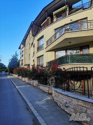 image_19