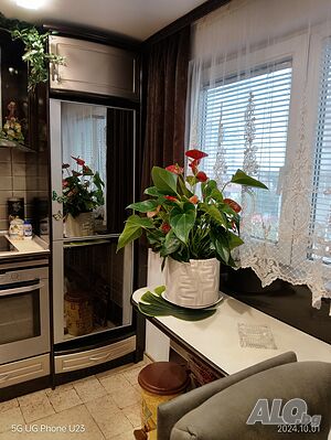 image_10
