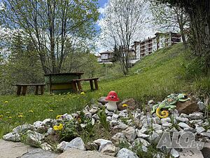 image_24