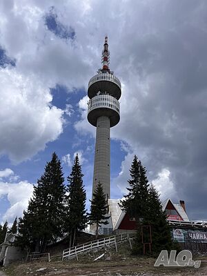 image_29