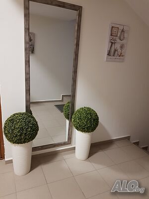 image_46