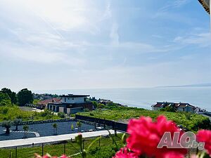 image_25