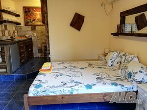 image_11