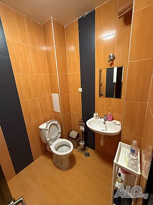 image_11