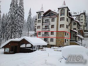 image_11