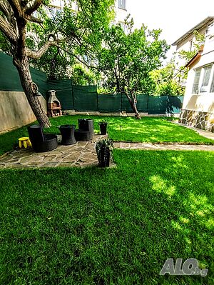 image_19