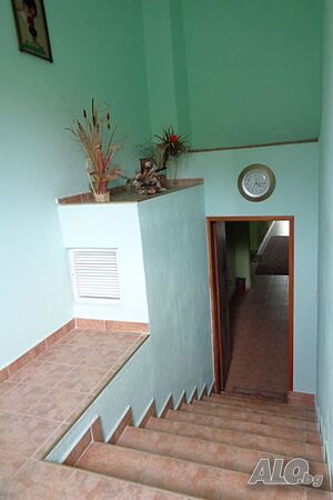 image_9