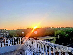 image_49