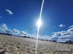 image_31