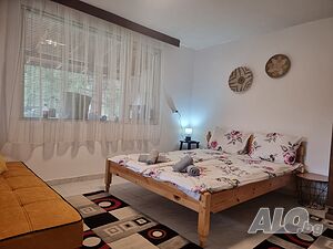 image_15