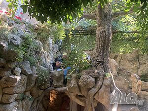 image_27