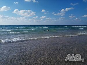 image_34