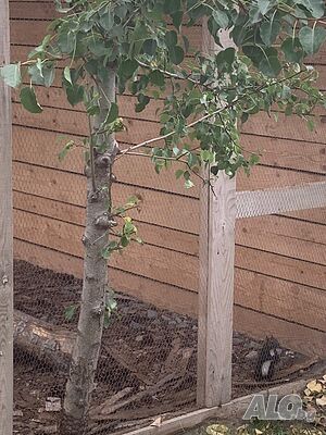 image_41