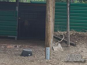 image_42