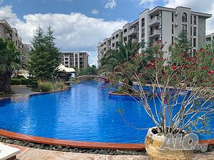 image_48
