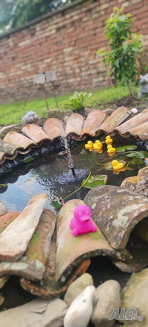 image_43