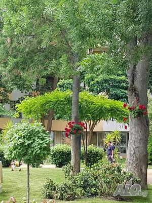 image_19