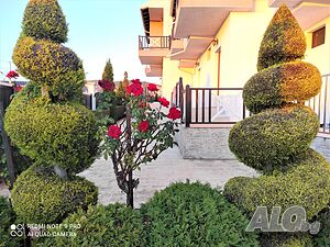 image_18