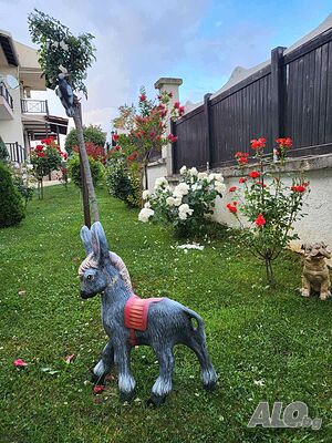 image_17