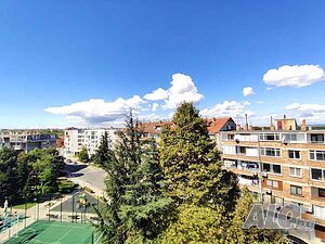 image_11