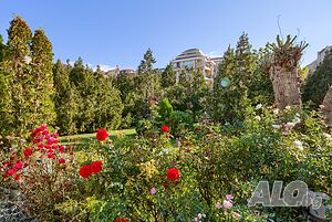 image_11
