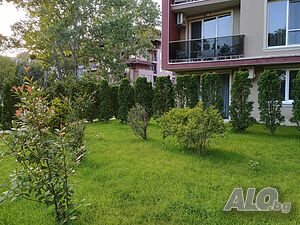 image_12