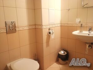 image_11