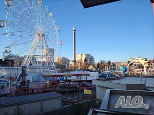 image_9