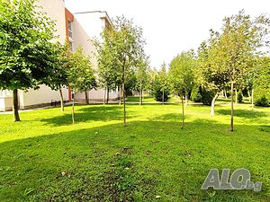 image_10