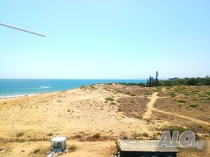 image_8