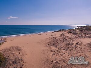 image_11