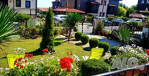 image_38