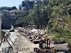 image_40