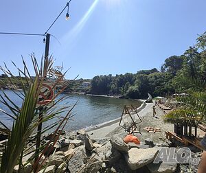image_42