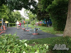 image_7