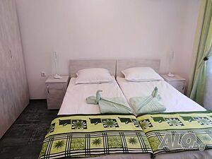 image_11
