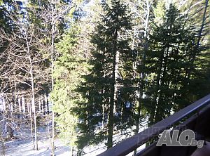 image_6
