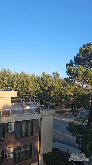 image_26