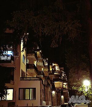 image_8