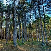 image_12