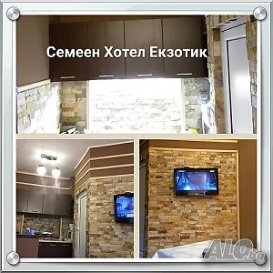 Стая под наем Стаи за Гости Екзотик гр. Пазарджик