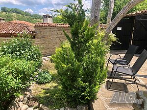 image_8