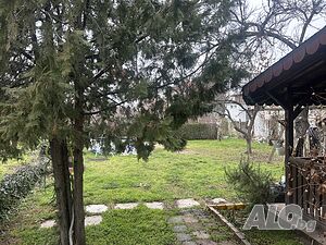 image_46