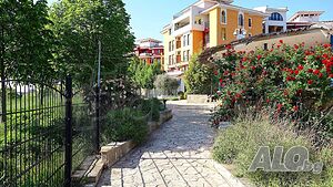 image_19