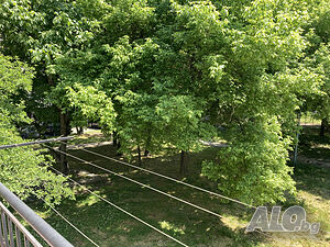 image_42