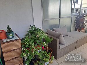 image_38