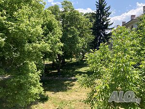 image_19