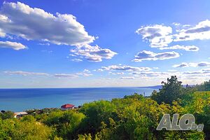 image_45