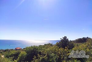 image_49
