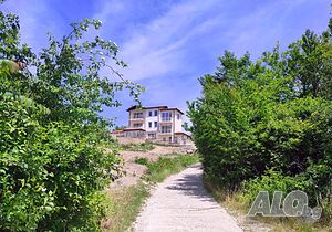 image_50